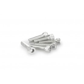 Puig Kit Screws Allen M8x30 mm Silver