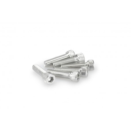 Puig Kit Screws Allen M8x30 mm Silver