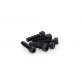 Puig Kit Screws Allen M8x30 mm Black