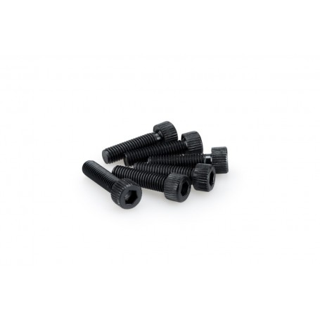 Puig Kit Screws Allen M8x30 mm Black