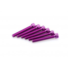 Puig Kit Screws Allen M8x55 mm Purple