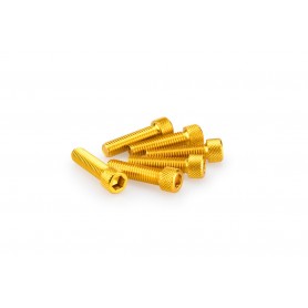 Puig Kit Screws Allen M8x30 mm Gold