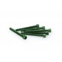 Puig Kit Screws Allen M6x55 mm Green