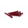 Puig Kit Screws Allen M6x55 mm Red