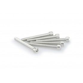 Puig Kit Screws Allen M6x55 mm Silver
