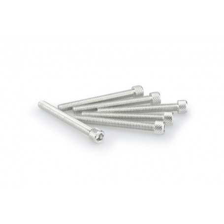 Puig Kit Screws Allen M6x55 mm Silver