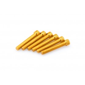 Puig Kit Screws Allen M8x50 mm Gold