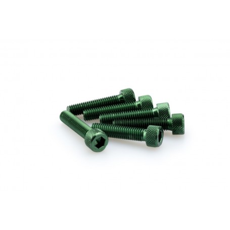 Puig Kit Screws Allen M8x35 mm Green