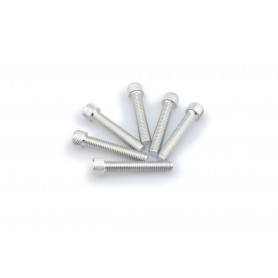 Puig Kit Screws Allen M8x45 mm Silver