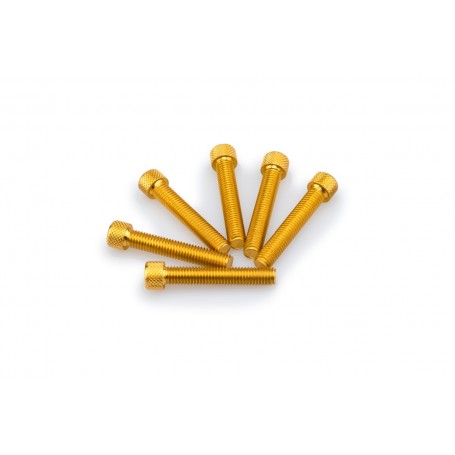 Puig Kit Screws Allen M8x45 mm Gold