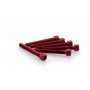 Puig Kit Screws Allen M6x45 mm Red