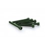 Puig Kit Screws Allen M6x45 mm Green