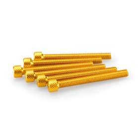 Puig Kit Screws Allen M6x55 mm Gold