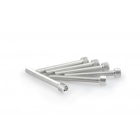 Puig Kit Screws Allen M6x50 mm Silver