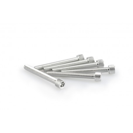 Puig Kit Screws Allen M6x50 mm Silver
