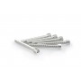Puig Kit Screws Allen M6x50 mm Silver