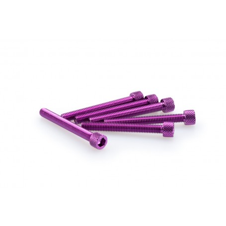 Puig Kit Screws Allen M6x50 mm Purple