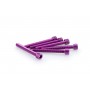 Puig Kit Screws Allen M6x50 mm Purple