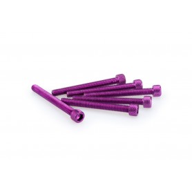Puig Kit Screws Allen M6x55 mm Purple