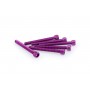 Puig Kit Screws Allen M6x55 mm Purple