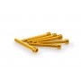 Puig Kit Screws Allen M6x50 mm Gold