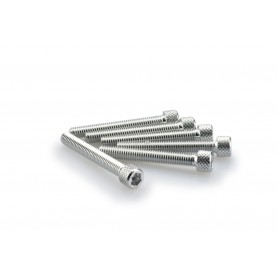 Puig Kit Screws Allen M6x45 mm Silver