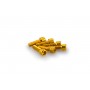Puig Kit Screws Allen M6x20 mm Gold
