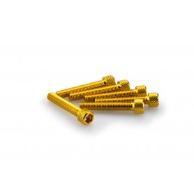 Puig Kit Screws Allen M6x35 mm Gold