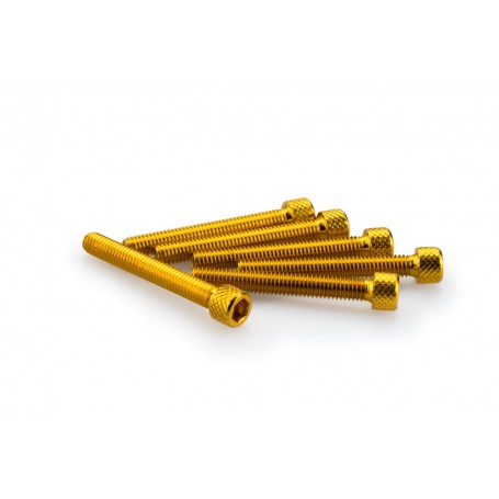 Puig Kit Screws Allen M6x45 mm Gold