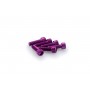 Puig Kit Screws Allen M6x20 mm Purple