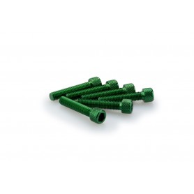 Puig Kit Screws Allen M6x30 mm Green
