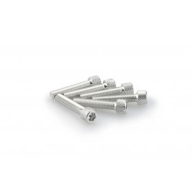 Puig Kit Screws Allen M6x30 mm Silver