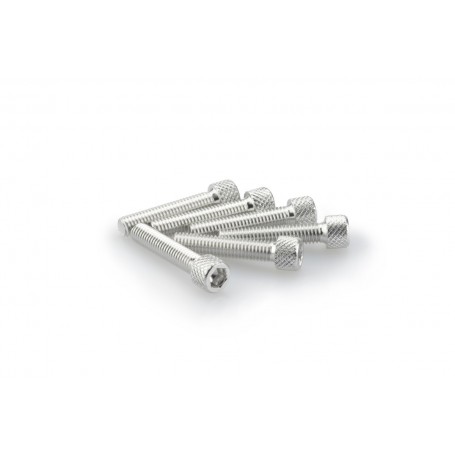 Puig Kit Screws Allen M6x30 mm Silver