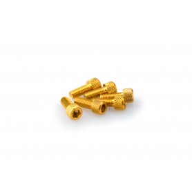 Puig Kit Screws Allen M6x15 mm Gold