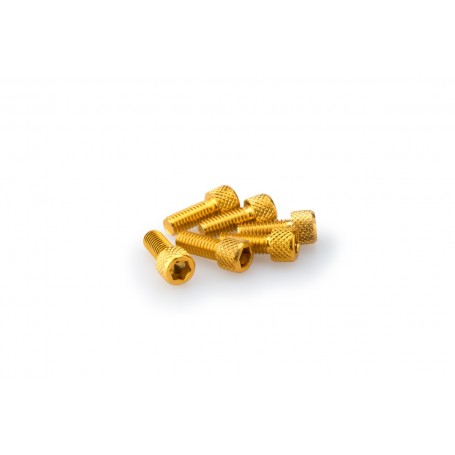 Puig Kit Screws Allen M6x15 mm Gold