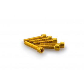 Puig Kit Screws Allen M6x30 mm Gold