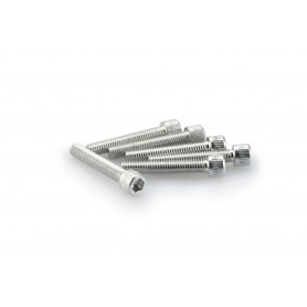 Puig Kit Screws Allen M6x35 mm Silver