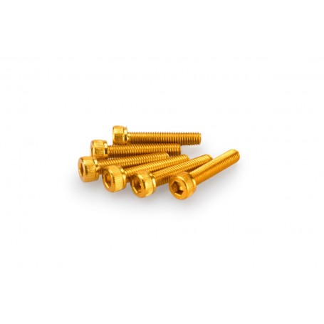 Puig Kit Screws Allen M5x25 mm Gold
