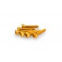 Puig Kit Screws Allen M5x25 mm Gold