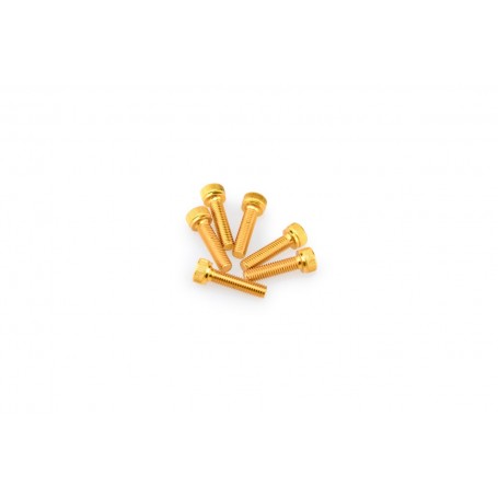 Puig Kit Screws Allen M5x20 mm Gold