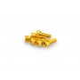 Puig Kit Screws Allen M5x15 mm Gold