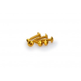 Puig Kit Screws Domed M6x20 mm Gold