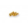 Puig Kit Screws Domed M6x20 mm Gold