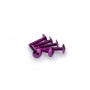 Puig Kit Screws Domed M6x30 Violeta
