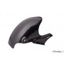 Rear Fenders