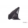 Rear Hugger Kawasaki Zx6R 09-17/636 13-17 