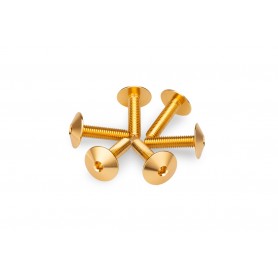 Screw Kit Anodized For Screens