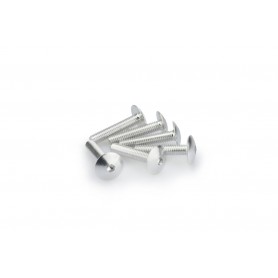 Anodized Aluminium Screws
