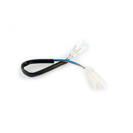 License Plate Holder