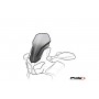 Racing Screen Kawasaki Z1000 07-09 C/Blue